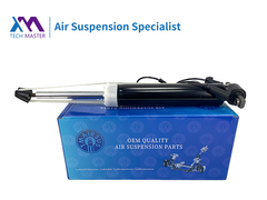 TMAIRSUS لينكولن MKT مغلق الصدمات الخلفي الأيسر مع ADS DE9Z18125J ، DE9Z18125B ، DE9Z18125G