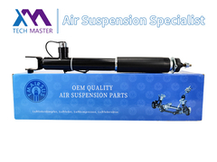 مُمتص الصدمات لـ (لينكولن) MKT ASH24635