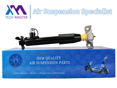 (تيك ماستر تيميرسوس) الجهاز الخلفي الايسر لامتصاص الصدمات لـ (لينكولن MKX F2GZ18125Z)