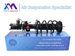 (ماستر التكنولوجيا (تيميرسوس لينكولن (مكت) مخزون الصدمات الأمامي الأيسر كامل (أست18205