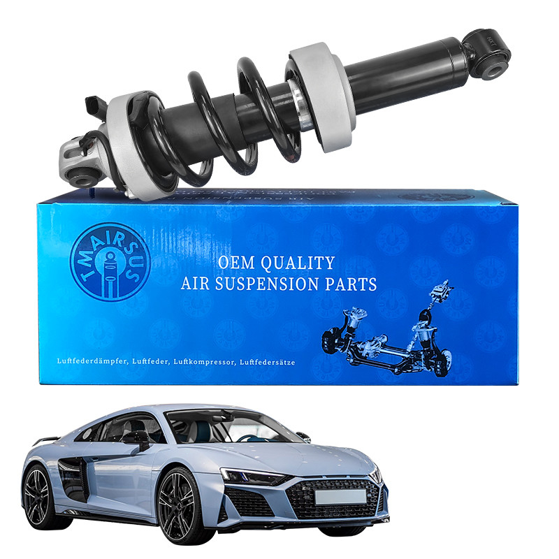 مسك الصدمات للسيارات لشركة أودي R8 الأمامية 420412019AG 420412020AG استبدال الصدمات والأسطوانات