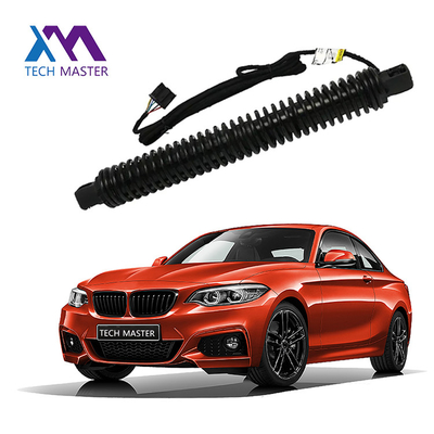 دعم رفع BMW Liftgate لـ 7X0LI F02 51247185713 الربيع الغازي الآلي الخلفي